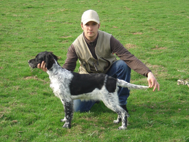 Chiots